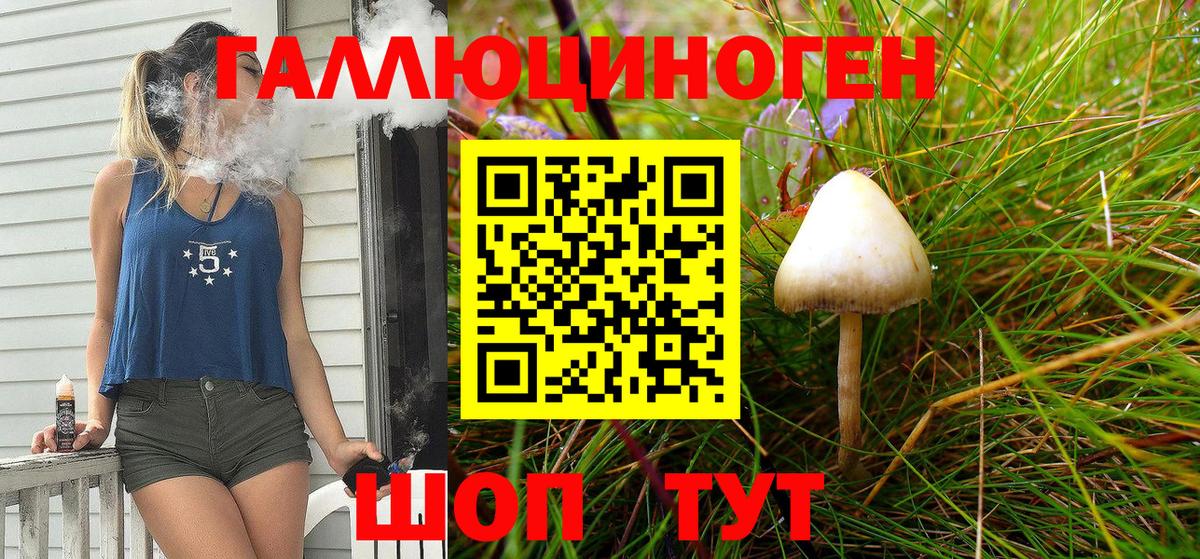 Галлюциногенные грибы Psilocybe  Вход с VPN  Кувандык 